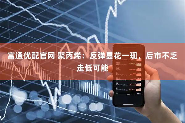 富通优配官网 聚丙烯：反弹昙花一现，后市不乏走低可能