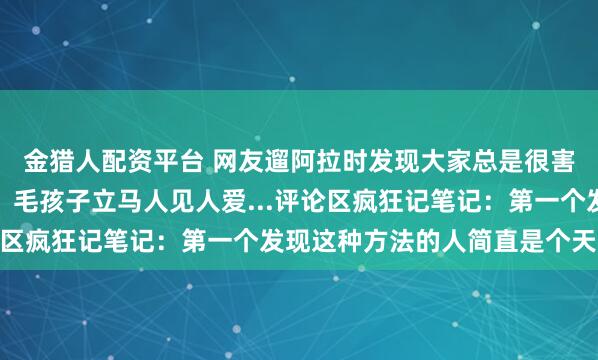 金猎人配资平台 网友遛阿拉时发现大家总是很害怕，果断想出了奇招，毛孩子立马人见人爱...评论区疯狂记笔记：第一个发现这种方法的人简直是个天才…
